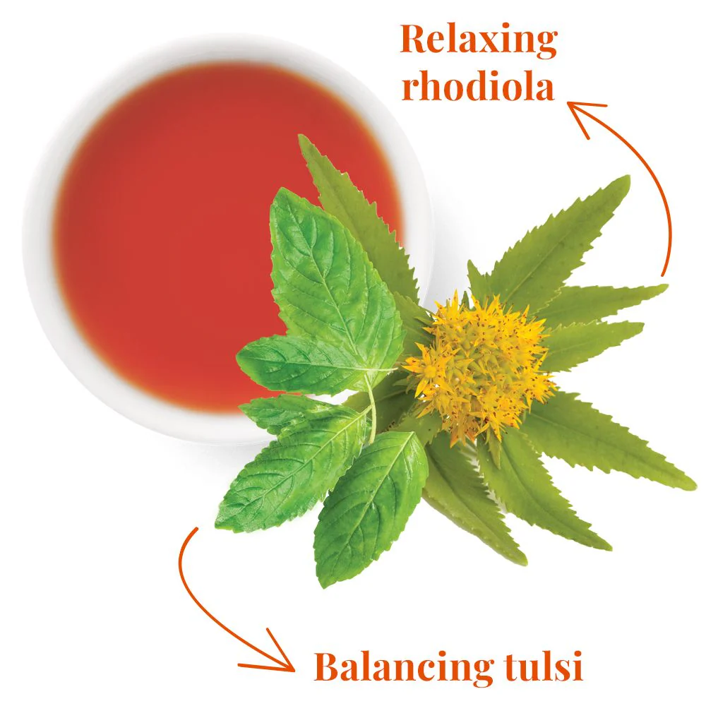 SuperAdapt™ Stress Suppress® Tea - Image 2