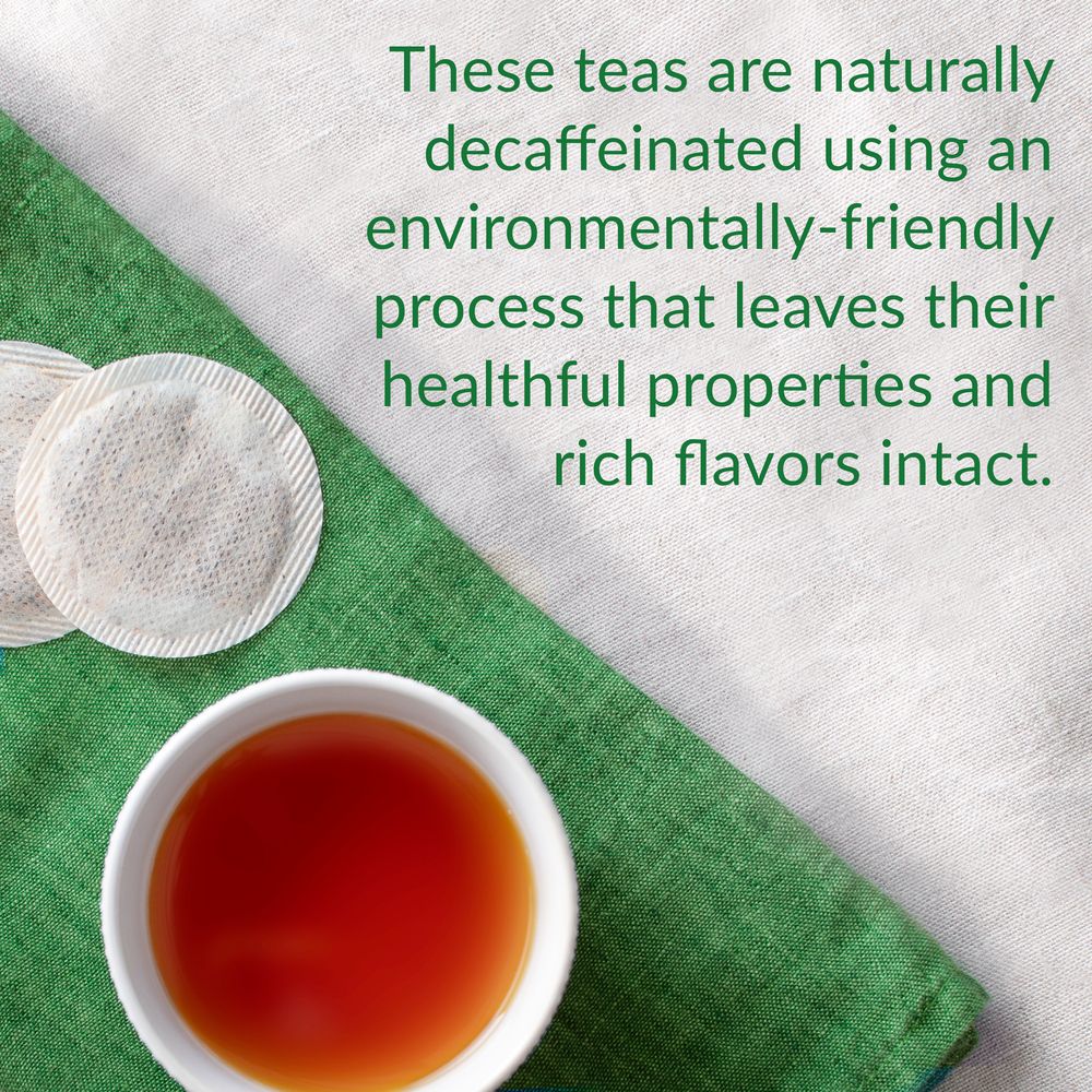 Decaf Blackberry Sage Black Tea Bags - Image 4