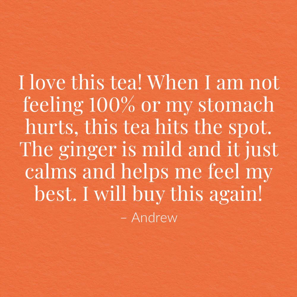Ginger Peach Black Tea Bags - Image 8