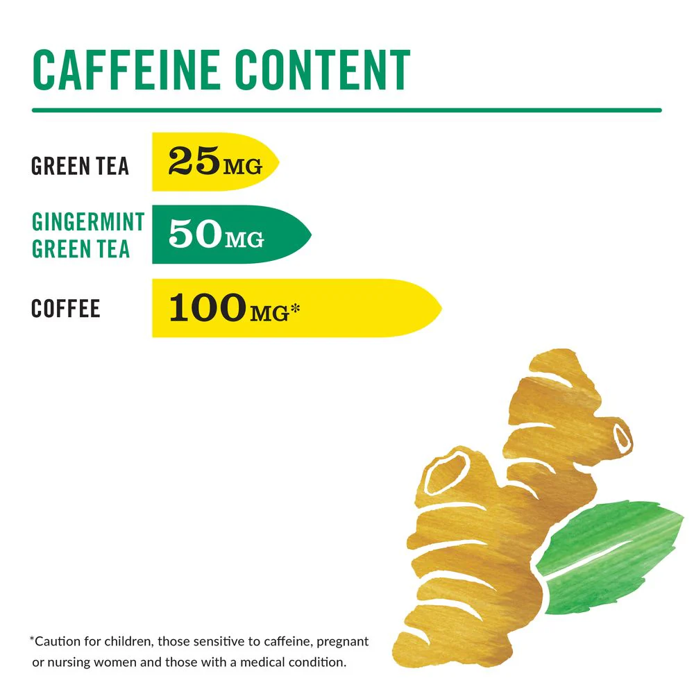 HiCAF® Gingermint Green Tea Bags - Image 4