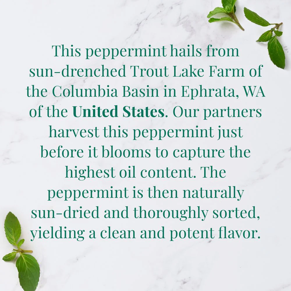 Organic American Peppermint SuperHerb® Herbs Of Origin Tea Bags - Image 4