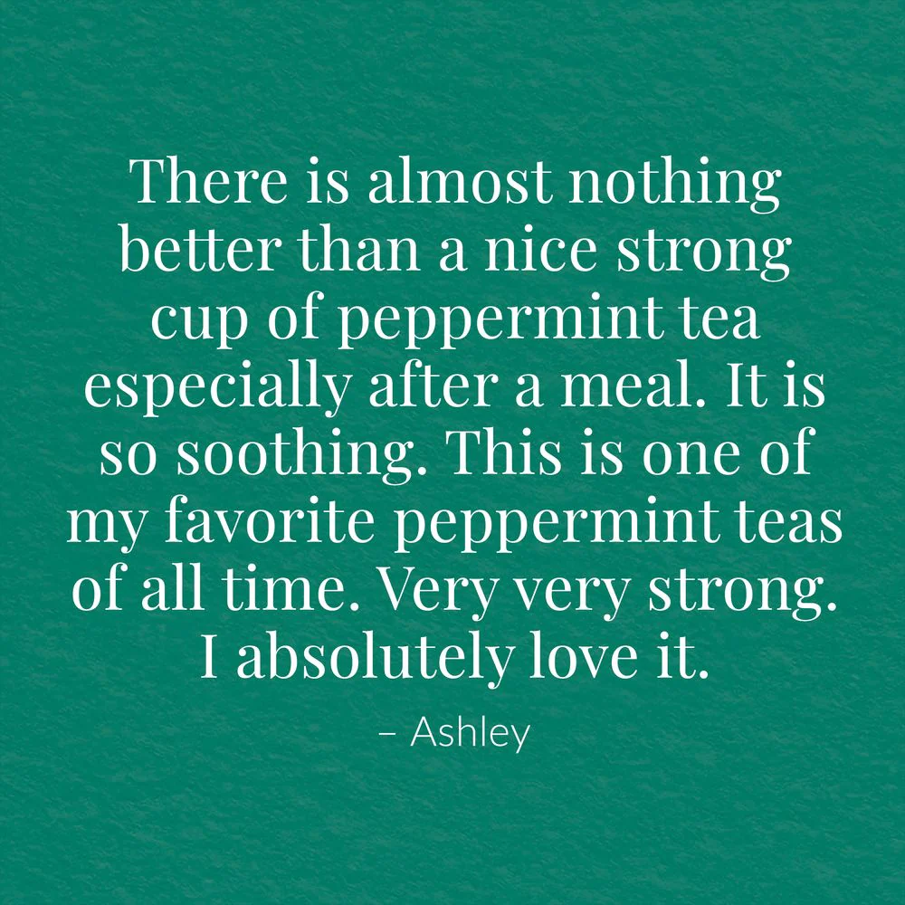 Organic American Peppermint SuperHerb® Herbs Of Origin Tea Bags - Image 8