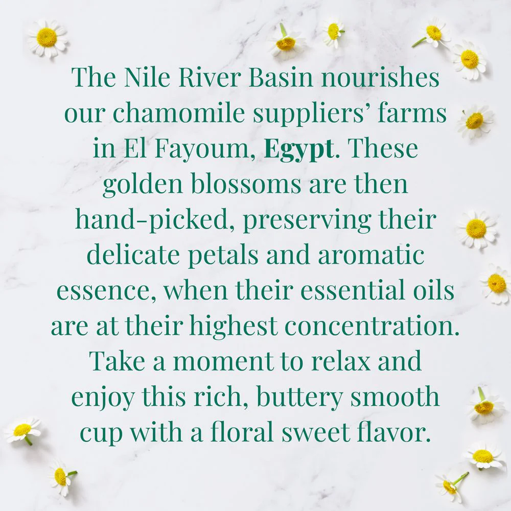 Organic Egyptian Chamomile SuperHerb® Herbs of Origin Tea Bags - Image 4