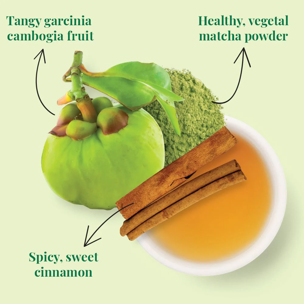 Organic Lean Green SuperGreen Tea Bags - Image 2