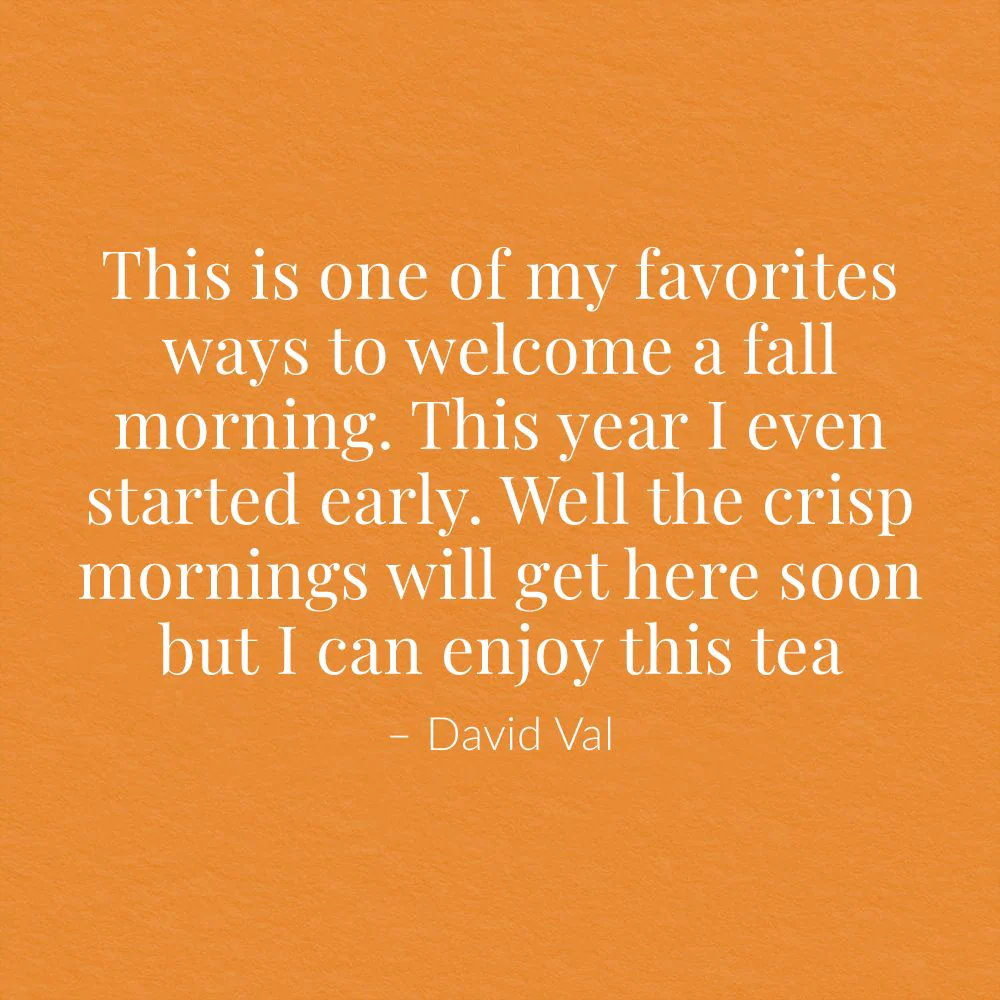 Pumpkin Spice Black Tea Bags - Image 3