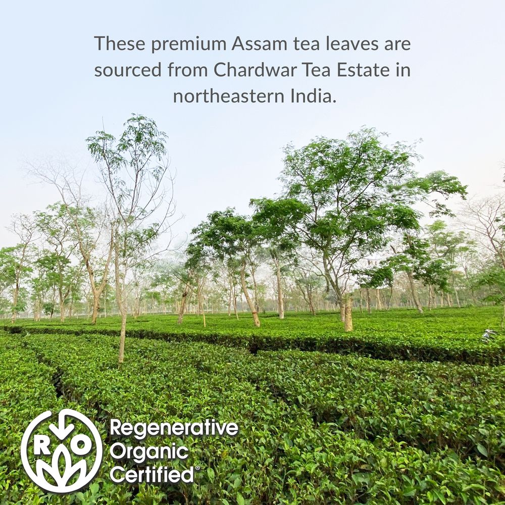 Regenerative Organic Certified® Assam Black Iced Tea Pouches - Image 3