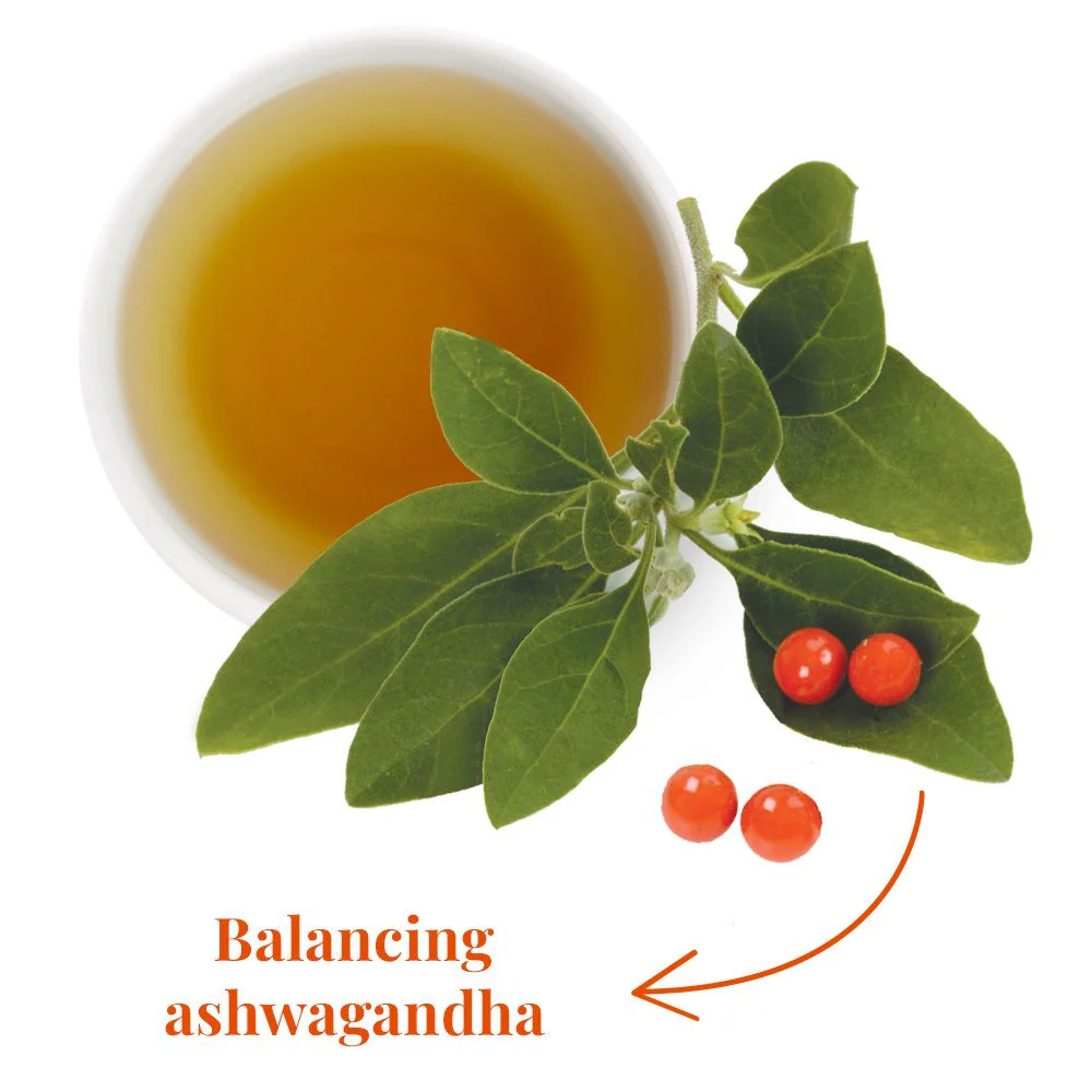 SuperAdapt™ Clarity and Calm® Tea - Image 2