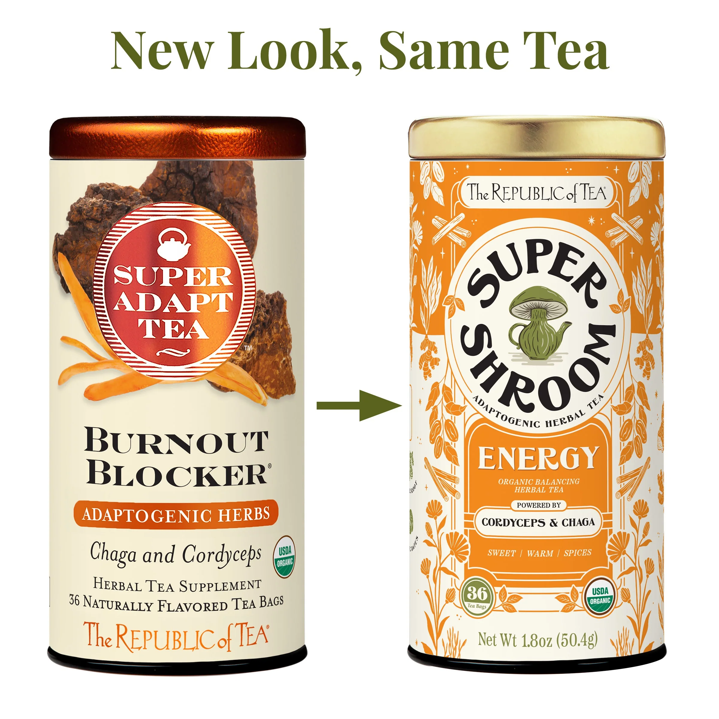 Organic Energy SuperShroom Herbal Tea - Image 5
