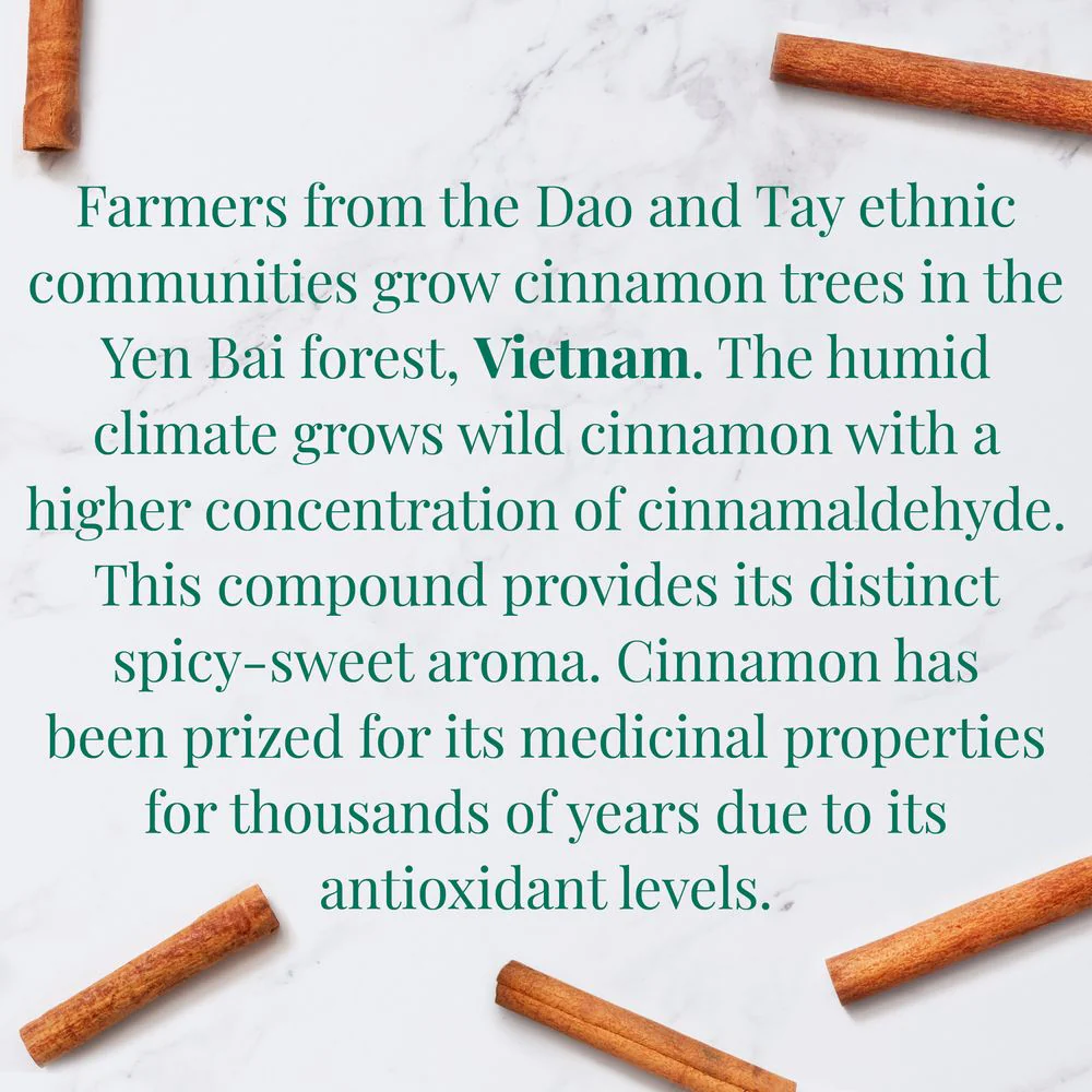 Organic Vietnamese Cinnamon SuperHerb® Herbs of Origin Tea Bags - Image 4